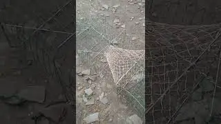 #раколовка гармошка#малютка 🤭#ловим рака#