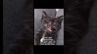 закрываем глазки и загадываем желание 😂у кого сработало?