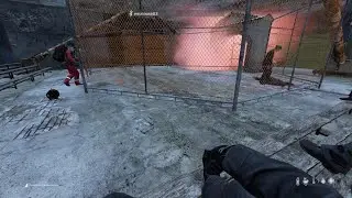 DayZ human Meat