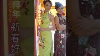 南方群星大拜年NAN FANG QUN XING DA I 新春好预兆（