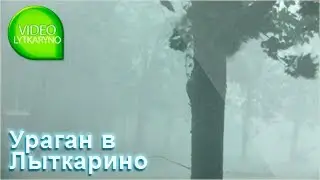 Ураган в Лыткарино. Смотрите видео YouTube о природе на канале Videolytkarino