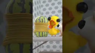 Watermelon challenge🍉🫨