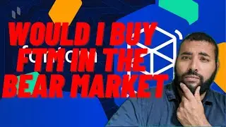Would I Buy Fantom (FTM) in the Bear Market? Installment 49 of 1001