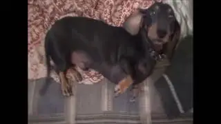 Праздник!Суши,Макс)