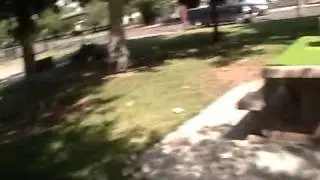 MOV003 3