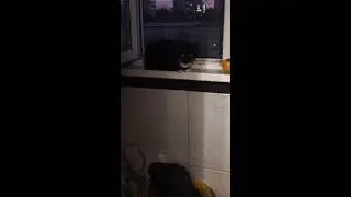 ВСЕМ ПРИВЕТ... 2202208333813427 ДЛЯ ДОНАТОВ