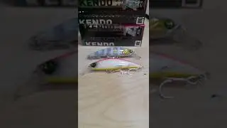 kendo rapala