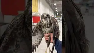 Lost Place Animal Rescue