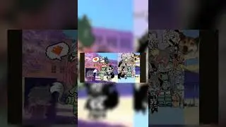 ‪@Lisok-irisok‬