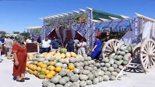 ТОP 5 Mehmonxonalar.ГОСТИНИЦА