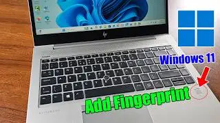 How to set fingerprint in laptop windows 11
