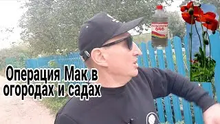 🟥КАК НАРКОМАНЫ ЖИВУТ НА СЕЗОНЕ МАКА ИЛИ ОПЕРАЦИЯ МАК В ОГОРОДАХ И САДАХ