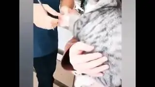 "О, неееет! Я не могу на это смотреть!.."