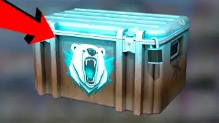 NEW CS2 OPERATION IS COMING (CSGO Investing 2023) Counter Strike 2