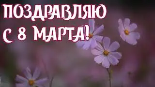 САМОЕ КРАСИВОЕ ПОЗДРАВЛЕНИЕ С 8 МАРТА