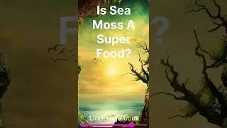 Is Sea Moss A superfood? (LindiYoga.com)