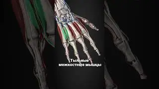Онемение мизинца