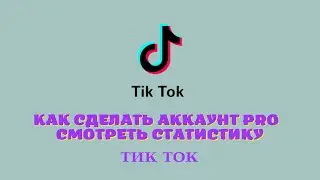 Тик Ток / как сделать аккаунт Pro и смотреть статистику