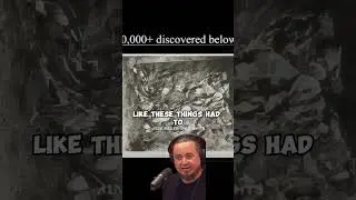 A PYRAMID FULL OF ANCIENT ARTIFACT UNDERNEATH IT 