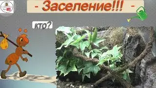 Кто же там будет жить? ? ?Who will be living  there