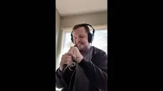 WHITECHAPEL - LOST BOY (VOCAL COVER BY MITCH HOWIE OF THE DIALECTIC)