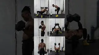 Dumbbell Only Upperbody Workout 🔥