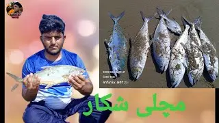 Balochistan gwadar samandar machhali shikar ki picnic part 1(2025)#Barkat Ali nigorei