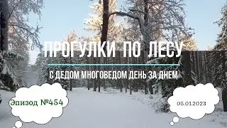 Прогулки по лесу. День за днем с дедом Многоведом. 5 января 2023г. Эпизод 454.