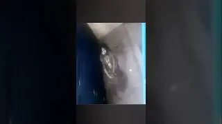 Something was trying to get in.. 