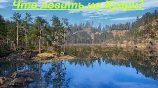 оз  Куори  Что ловится на Куори  Троллинг  Два трофея