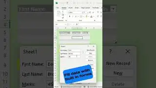Fill data with built in forms in excel 