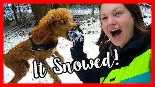 Odin's First Haircut & Snow | VLOGMAS