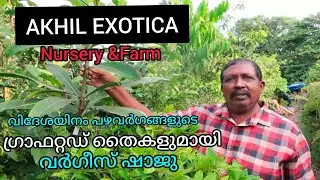 exotic fruit- അപൂർവയിനം പഴവർഗചെടികൾ - Akhil Exotica