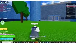 Recording a hacker in blox fruits!!!!?!?!??!