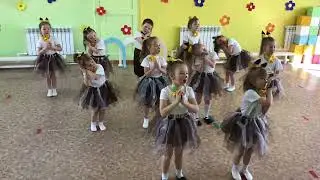ср гр А  Кошка
