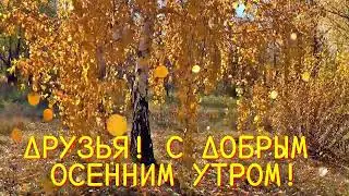 С добрым осенним утром🍁