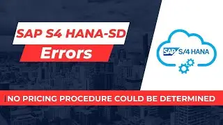 SAP S4 HANA SD Error | No Pricing Procedure could be Determined