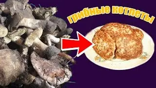 Greenfin mushroom patties