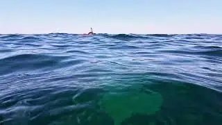 Подводная охота #spearfishing