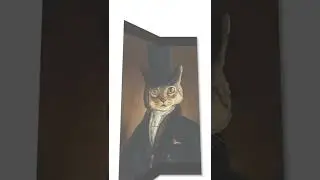 Cute cat 🐈