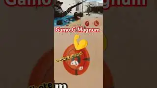 #airecomprimido #airgun #gamoairguns #youtubeshort #gamogmagnun