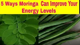Moringa Can Energize You || Moringa Can Improve Your Energy Levels
