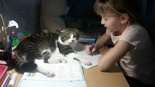 СМЕШНЫЕ КОТЫ2021#Смешные коты#кот Борис помогает делать уроки.
