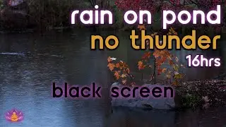 [Black Screen] Rain on Pond No Thunder | Rain Ambience | Rain Sounds for Sleeping