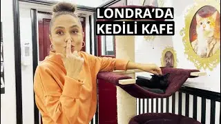 Londra'nın Kedili Kafesi | Kediler ve Sabina ile 5 Çayı