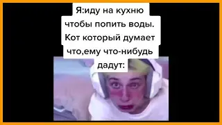 тик ток стал Дашей Корейкой || тик ток мемы