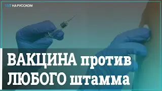 Турецкие ученые разработали универсальную вакцину против COVID-19