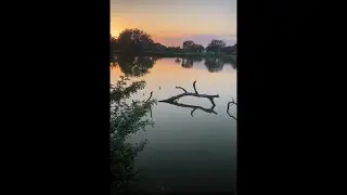 لماذا النرجسي نرجسي الحلقة ٢😏امال الحبيب