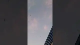 Нашествие стрекоз!