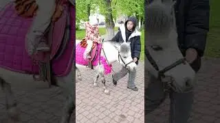 катаемся на пони